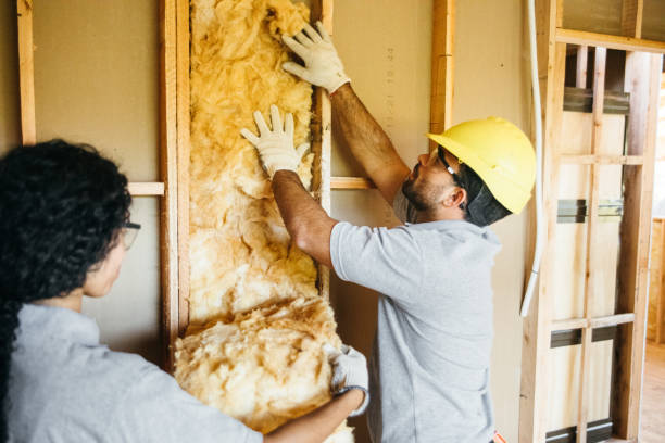 Best Wall Insulation Contractor  in Fairmount, NY