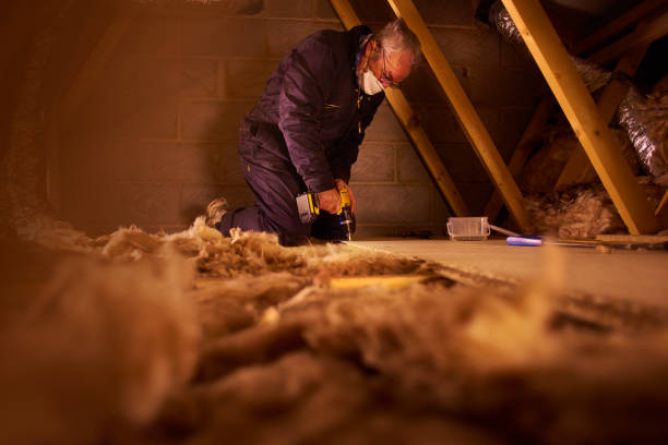 Best Insulation Removal  in Fairmount, NY