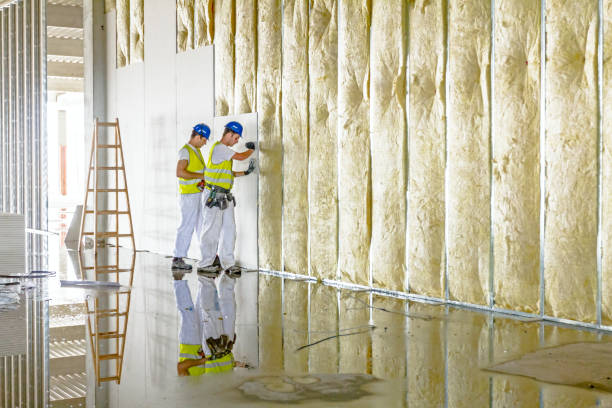 Insulation Repair Services in Fairmount, NY